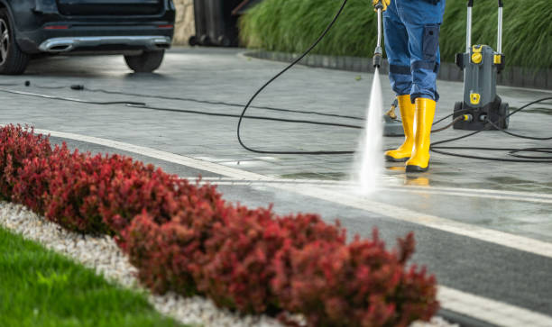 Best Graffiti Removal  in Albers, IL